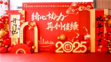 2025 年元宵晚会：共赏文化盛宴，同庆团圆佳节